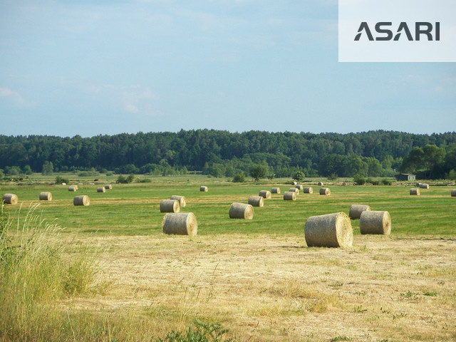 Działka Wynajem Nowy Dwór Mazowiecki Górska