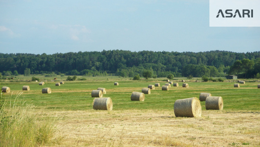 Działka Sprzedaż Nowy Dwór Mazowiecki Stefana Czarnieckiego